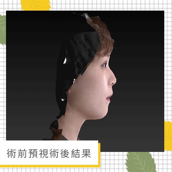3D模擬